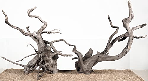 LANDEN Natürliches Spinnenholz für Aquarien, dekorative Aquarium-Dekorationen, Treibholzzweige (30,5–40,6 cm, XL), 4 Stück von Landen