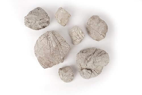 LANDEN Natursteine, Elefantenhaut, verschiedene Texturen, Grau (8,2 kg, 7-22,9 cm, 7 Stück) für Aquarium, Paludarium, Terrarien, Landschaftsbau, Dekoration von Höhlen, Wasserfällen, Klippen von Landen