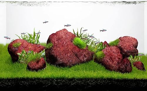 LANDEN Rote Lavasteine (7,3 kg, 7,3 ~ 25,4 cm, 11 Stück) Aquarium-Felsen für Aquascaping-Terrarien, Paludarien, Vivarien, Reptilien- und Amphibiengehege, Aquarium-Dekoration, Landschaftsstein von Landen