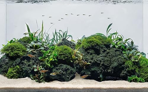 LANDEN Schwarze Lavasteine für Aquascaping Terrarien, Paludarium, Vivarien, Reptilien und Amphibiengehege (7,3 kg, 7,6 - 25,4 cm) von Landen