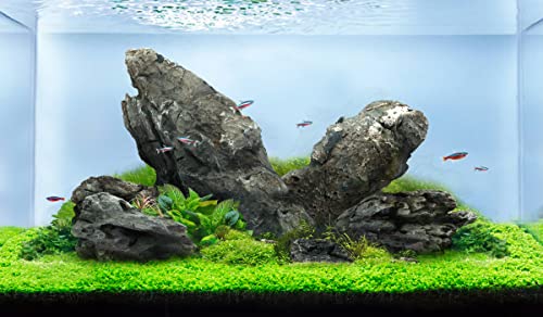 LANDEN Seiryu Steine Natursteine (7,7 kg, 7-27,9 cm, 7–8 Stück) für Aquarium, Paludarium, Terrarien, Landschaftsbau, Aquascaping von Landen