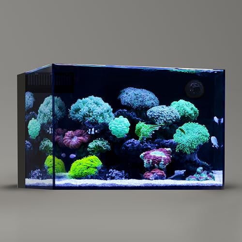 Landen Aquarium-Tank mit rückseitiger Filterkammer für Salz und Frische, ultraklar, 60 P, 60 l, 60 x 45 x 40 cm, 8 mm dick von Landen