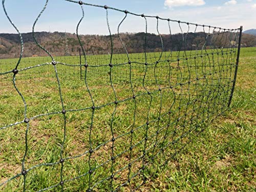 Landkaufhaus Mayer Kaninchenzaun 55cm Höhe | Kaninchennetz | Hasenauslauf | Elektronetz | Kleintiernetz | Hasenzaun (15m) von Landkaufhaus Mayer