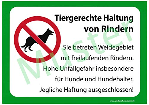 Landkaufhaus Mayer Weide Warnschild *Tiergerechte Haltung von Rindern* 29 x 21cm, Warnschild,Weidezaun,Weidegebiet, Landkaufhaus Mayer Weide Warnschild *Tiergerechte Haltung von Rindern* 29 x 21cm, Warnschild,Weidezaun,Weidegebiet, von Landkaufhaus Mayer