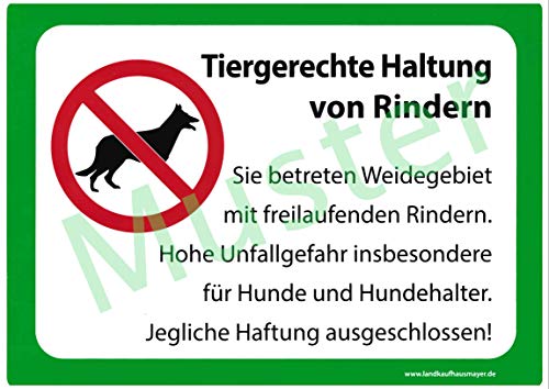 Landkaufhaus Mayer Weide Warnschild *Tiergerechte Haltung von Rindern* 29 x 21cm, Warnschild,Weidezaun,Weidegebiet, von Landkaufhaus Mayer