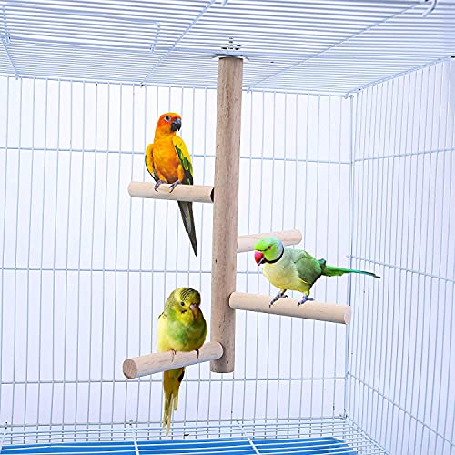 Lanfly Vogelkäfig aus Holz, Sitzstange für Wellensittiche, Sitzstangen und Ständer für Papageien, Pfoten, Schleifstab, Plattform, Wellensittiche, kleine Vögel zum Spielen und Springen Lanfly Vogelkäfig aus Holz, Sitzstange für Wellensittiche, Sitzstangen und Ständer für Papageien, Pfoten, Schleifstab, Plattform, Wellensittiche, kleine Vögel zum Spielen und Springen von Lanfly