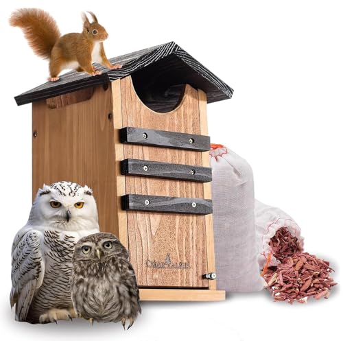 Eulenhaus aus Zedernholz mit Vogelständer, rustikale Eule, Haven, Outdoor-Eulen-Nistkasten-Set – Montage erforderlich. von Langxinese
