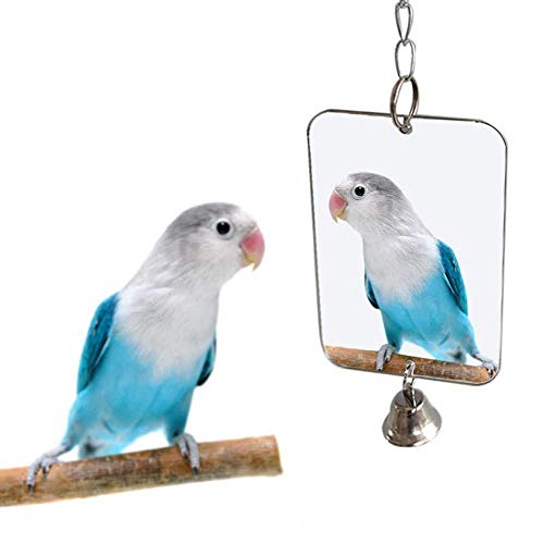 Lankater 1pc Parrot Spielzeug-Vogel-käfig Hängende Spiegel Glocke, Vogelkäfig Dekoration Pet Supplies, Vogelzubehör von Lankater