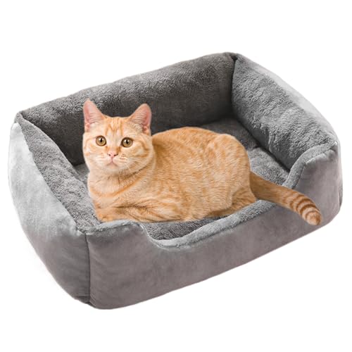 Hundebett, Hundekörbchen rutschfeste, weiche Polsterung, Hundesofa Hundebetten Flauschig Hundematratze mit Erhöhte Ränder für Hunde, Welpen Katzen, Kätzchen 70x50x15cm von Lanmijia
