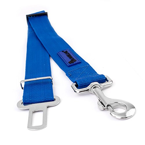 Lantelme Hunde Sicherheitsgurt Adapter XL extra breit und stark für Auto Gurtadapter ausziehbar 60 bis 95 cm blau 6113 von Lantelme
