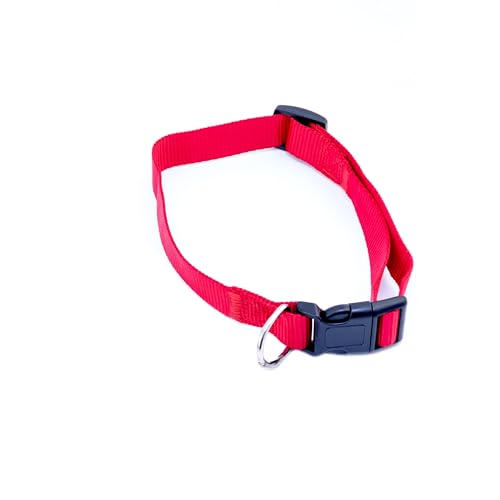 Lantelme Hundezubehör – Hochwertige Auswahl an Halsbändern, Leinen, Geschirren und Autogurtadaptern in verschiedenen Varianten (Halsband Rot) von Lantelme
