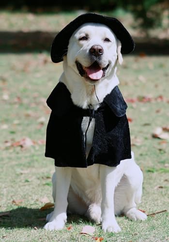 Kapuzenumhang Hexen-/Zauberer-Kostüm für große Haustiere, Hunde-Halloween-Kostüm, Hut und Umhang, Hunde-Hexenkostüme, Größe L Kapuzenumhang Hexen-/Zauberer-Kostüm für große Haustiere, Hunde-Halloween-Kostüm, Hut und Umhang, Hunde-Hexenkostüme, Größe L von Lanyarco