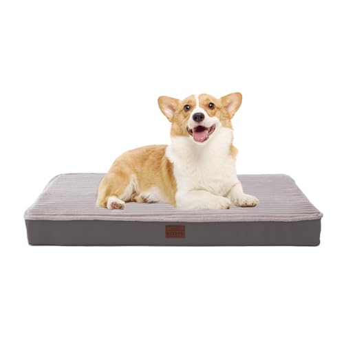 Orthopädische Hundebetten für kleine, mittelgroße Hunde, Plüsch, waschbares Hundebett mit Eierbox-Schaum, wasserdichtes Hundebett mit abnehmbarem Bezug und rutschfester Unterseite, bequem, gestreiftes Orthopädische Hundebetten für kleine, mittelgroße Hunde, Plüsch, waschbares Hundebett mit Eierbox-Schaum, wasserdichtes Hundebett mit abnehmbarem Bezug und rutschfester Unterseite, bequem, gestreiftes von Laojin Balhen