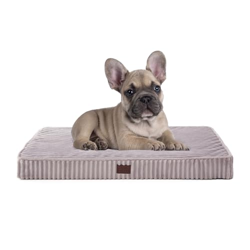 Orthopädische Hundebetten für kleine Hunde – weicher Plüsch, waschbar mit Eierkarton-Schaumstoff, wasserdicht und abnehmbarer Bezug, rutschfeste Unterseite, bequem gestreift, 76,2 x 50,8 cm, Grau Orthopädische Hundebetten für kleine Hunde – weicher Plüsch, waschbar mit Eierkarton-Schaumstoff, wasserdicht und abnehmbarer Bezug, rutschfeste Unterseite, bequem gestreift, 76,2 x 50,8 cm, Grau von Laojin Balhen