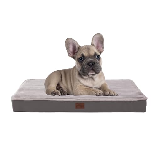 Orthopädisches Hundebett für kleine Hunde – Plüsch, waschbar mit Eierkarton-Schaumstoff, wasserdicht und abnehmbarer Bezug, rutschfeste Unterseite, bequem gestreiftes Hundebett, 76,2 x 50,8 cm, Grau Orthopädisches Hundebett für kleine Hunde – Plüsch, waschbar mit Eierkarton-Schaumstoff, wasserdicht und abnehmbarer Bezug, rutschfeste Unterseite, bequem gestreiftes Hundebett, 76,2 x 50,8 cm, Grau von Laojin Balhen
