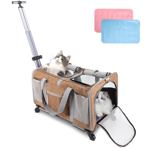 Rollende Katzentrage mit zwei Fächern für 2 Katzen, faltbare Haustiertragetasche mit Rollen für 2 kleine Katzen und Hunde, vollständig atmungsaktiv, perfekt für Reisen/Wandern/Camping/Tierarztbesuche Rollende Katzentrage mit zwei Fächern für 2 Katzen, faltbare Haustiertragetasche mit Rollen für 2 kleine Katzen und Hunde, vollständig atmungsaktiv, perfekt für Reisen/Wandern/Camping/Tierarztbesuche von Lapinforet