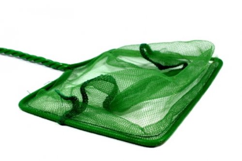 Lapis Aquarium Fischnetz, Kescher, Fischkescher, Fischfangnetz, Fangnetz, Grünes Netz, gedrehter Griff, aufhängbar Lapis Aquarium Fischnetz, Kescher, Fischkescher, Fischfangnetz, Fangnetz, Grünes Netz, gedrehter Griff, aufhängbar von Lapis
