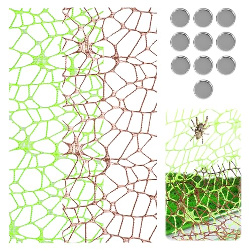 Larrel Springspinnen-Habitat-Zubehör, stabiles wiederverwendbares Spinnengehäuse mit 10 Magneten, praktische Springspinne, Kletternetz-Dekoration, Grün, Braun, 6 Stück Larrel Springspinnen-Habitat-Zubehör, stabiles wiederverwendbares Spinnengehäuse mit 10 Magneten, praktische Springspinne, Kletternetz-Dekoration, Grün, Braun, 6 Stück von Larrel