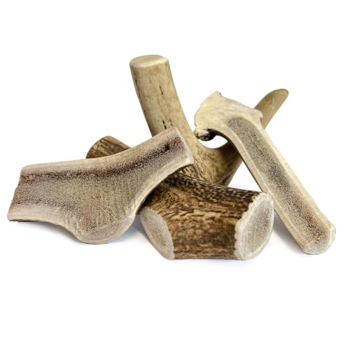 Larsson | Geweih für Hunde, Kauknochen Hund, Kaustange, natürliches Produkt, hochwertiges Kauspielzeug Hund aus Rothirschgeweih, Größe L, 4er Set Larsson | Geweih für Hunde, Kauknochen Hund, Kaustange, natürliches Produkt, hochwertiges Kauspielzeug Hund aus Rothirschgeweih, Größe L, 4er Set von Larsson