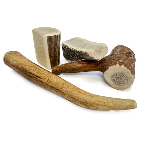 Larsson | Geweih für Hunde, Kauknochen Hund, Kaustange, natürliches Produkt, hochwertiges Kauspielzeug Hund aus Rothirschgeweih, Größe S, 4er Set Larsson | Geweih für Hunde, Kauknochen Hund, Kaustange, natürliches Produkt, hochwertiges Kauspielzeug Hund aus Rothirschgeweih, Größe S, 4er Set von Larsson