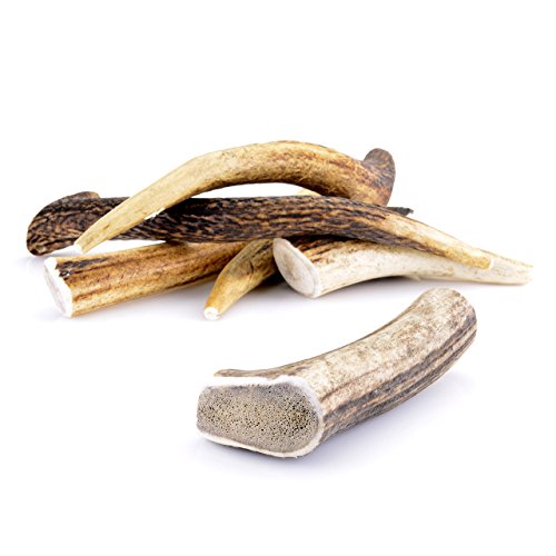 Larsson | Geweihstück - Full-Chew | L | Kauartikel 120-160g Larsson | Geweihstück - Full-Chew | L | Kauartikel 120-160g von Larsson
