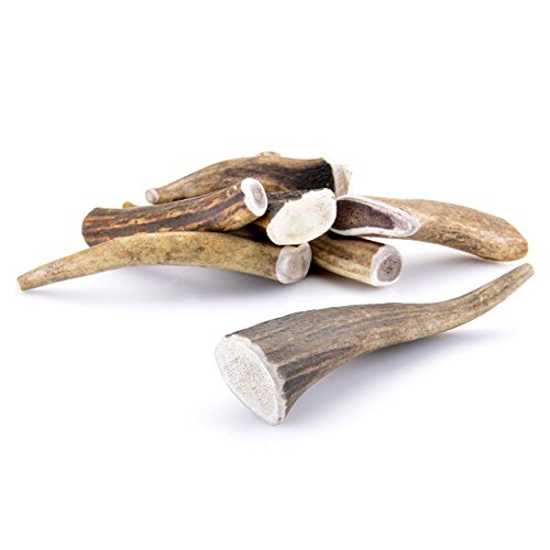 Larsson | Geweihstück - Full-Chew | M | Kauartikel 80-120g Larsson | Geweihstück - Full-Chew | M | Kauartikel 80-120g von Larsson