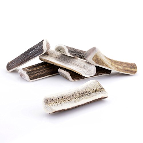 Larsson | Halbiertes Geweihstück - Half-Chew | XS | Kauartikel 30-50g von Larsson