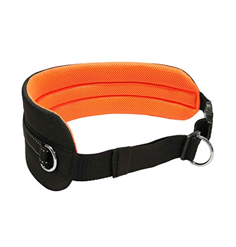 LASALINE Canicross Gürtel Bauchgurt für Hundeleine Dogtrekking Gürtel in Schwarz Neonorange von LASALINE