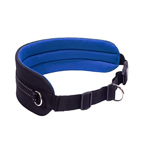 LASALINE Canicross Gürtel Bauchgurt für Hundeleine Dogtrekking Gürtel in Schwarz Blau von LASALINE