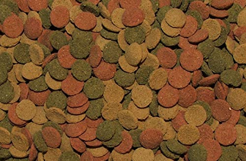 Lasama Mini Algen Wafers Mix 500 g Lasama Mini Algen Wafers Mix 500 g von Lasama