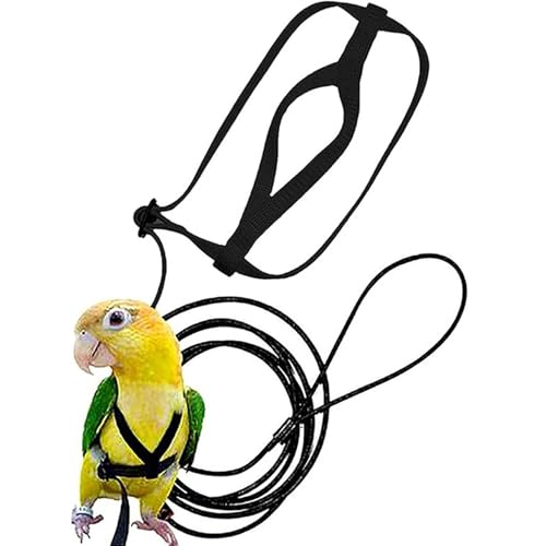 Latebebebe Vogelkabelbaum, verstellbare Vogel-Leinen-Haustier-Trainingsversorgungen Anti-Bite-Flieger-Nylonseil für Conures Budegar Lovebird Cockatiel Mynah von Latebebebe