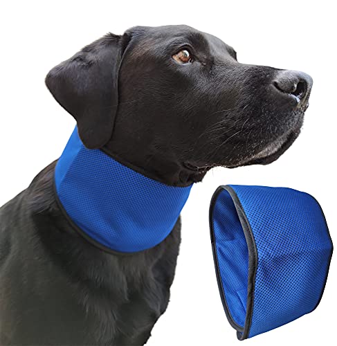 Lautus Pets Kühlendes Hundehalstuch – schnell, leicht und tragbar für Hunde – einfach zu bedienendes Kühlhalsband für Hunde – verhindert Überhitzung, perfekt für Besitzer und Pfleger (groß) von Lautus Pets