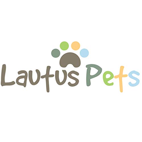 Lautus Pets Hundehalsband, kühlend, klein, hellblau von Lautus Pets