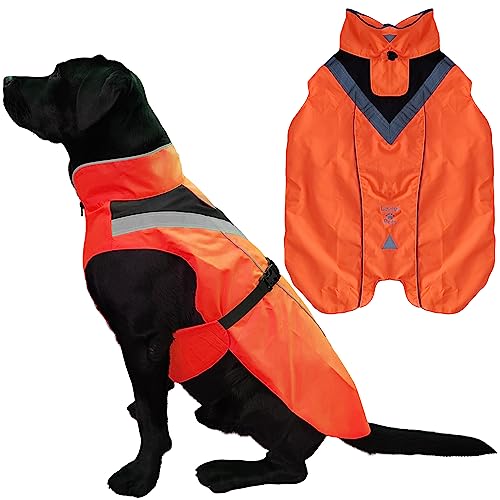 Lautus Pets Hunderegenmantel – wasserdicht, reflektierend, leuchtendes Orange mit Loch für die Leine (M, Orange) von Lautus Pets