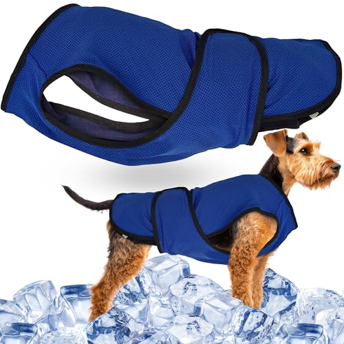Lautus Pets Kühlweste für mittelgroße Hunde – einfaches An- und Ausziehen mit doppeltem Klettverschluss und Reißverschluss, leichte und tragbare Kühljacke für Hunde, perfekt für Hundebesitzer von Lautus Pets