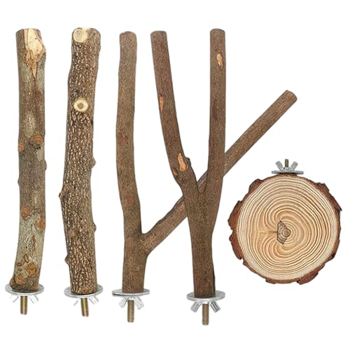 5pcs/Set Bird Barch Stand Safe Naturholz Papageienständer Interaktive Vogelstacheln Übungsspielzeug Käfigzubehör für Wellensittich, Shotet, Lovebird von Lawnrden