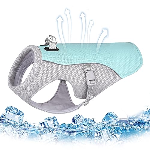 Hundekühlung Weste Sommer Hundekühlungsmantel atmungsaktives Mesh Verstellbarer Schnellkühljacke für mit reflektierender Streifenposition für Haustierbedarf XL, Sommermantel, Sommermantel Hundekühlung Weste Sommer Hundekühlungsmantel atmungsaktives Mesh Verstellbarer Schnellkühljacke für mit reflektierender Streifenposition für Haustierbedarf XL, Sommermantel, Sommermantel von Lawnrden