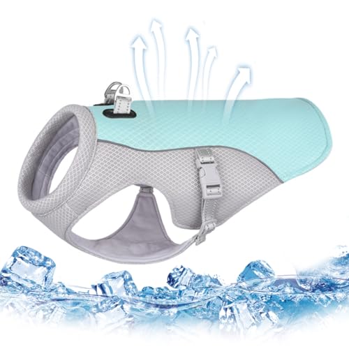 Hundekühlung Weste Sommer Hundekühlungsmantel atmungsaktives Mesh Verstellbares schnelle kühle Jacke für mit reflektierender Streifenposition für Haustierversorgungen m, Sommermantel, Sommermantel Hundekühlung Weste Sommer Hundekühlungsmantel atmungsaktives Mesh Verstellbares schnelle kühle Jacke für mit reflektierender Streifenposition für Haustierversorgungen m, Sommermantel, Sommermantel von Lawnrden