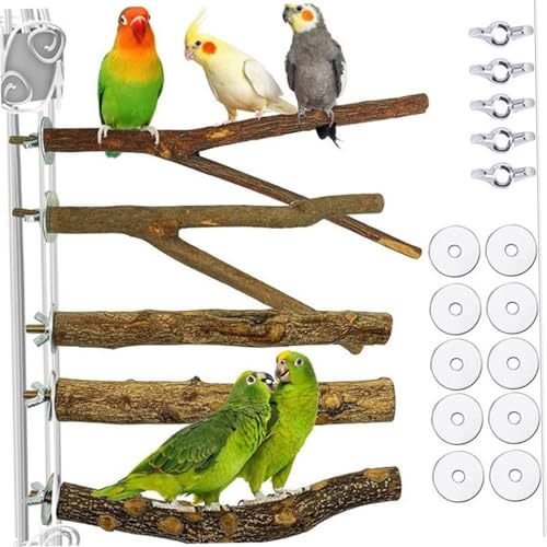 Lawnrden Naturholzvogel Barsch, 5pcs Holzpapagei Lawnrden Naturholzvogel Barsch, 5pcs Holzpapagei von Lawnrden