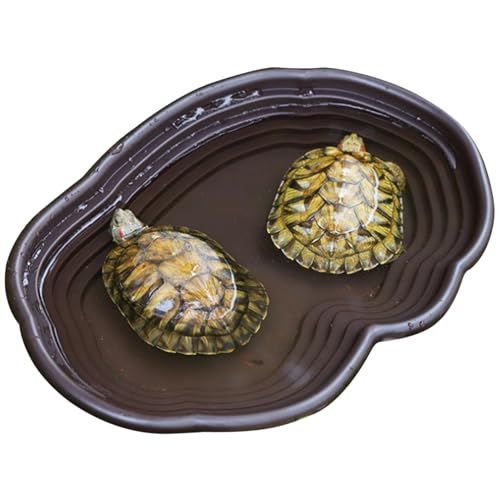 Lawnrden Schildkrötenraum, Reptilienwasserschale, 15x11x2 Große Simulation Schildkröte Wasserschale, dekorative Plastikschritt -Reptilien -Badepool für Echsenschildkröte Lawnrden Schildkrötenraum, Reptilienwasserschale, 15x11x2 Große Simulation Schildkröte Wasserschale, dekorative Plastikschritt -Reptilien -Badepool für Echsenschildkröte von Lawnrden