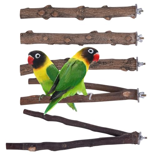 Papageienspielzeug, 5pcs Naturholz Vogel Barschzweige, Holzpapagei -Standgabelspielzeug, Hängende Vogelkäfigzubehör für Papageien Vögel Käfig Shotets Cockatiels Papageienspielzeug, 5pcs Naturholz Vogel Barschzweige, Holzpapagei -Standgabelspielzeug, Hängende Vogelkäfigzubehör für Papageien Vögel Käfig Shotets Cockatiels von Lawnrden