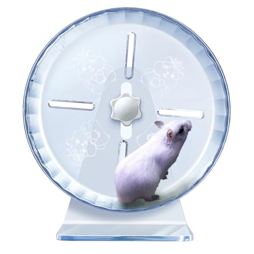 Hamsterrad,Silent Hamster Wheel (L Ø21cm, Transparent) von LazySusan