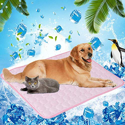 LbojailiAi Haustierdecke für Hunde und Katzen, atmungsaktiv, Blau, XL von LbojailiAi