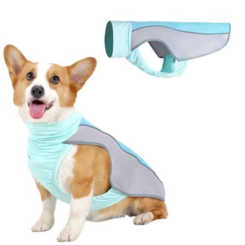 Cooling Summer Dog Coat, Kühlende Sommer Hundeweste mit reflektierenden Streifen, Atmungsaktive Kühlweste für Hunde, Kühljacke für heiße Tage, Kälteschutz für Hunde (Blau, L) von Lbotr
