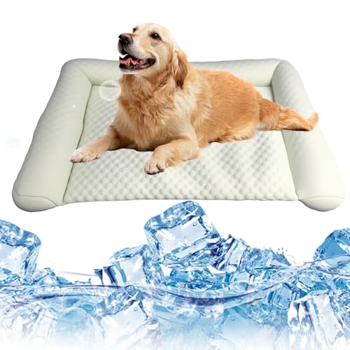 Lbotr Pet Ice Mat Cooling Mat, KüHlmatte Katze, KüHlmatte FüR Hunde & Katzen, SelbstküHlende Hundebett Unterlage Mit Gel, Wasserdicht & rutschfest, Weiche KüHlmatte FüR Haustiere (Grün, 60 * 35) von Lbotr