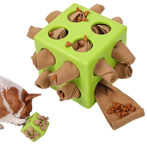 Lbotr Unzerstörbares Hundespielzeug, Spielzeug Hund，Robustes Kauspielzeug mit Quietscher für Welpen & Erwachsene Hunde, 18 cm Zahnpflege-Spielzeug aus Plüsch und Baumwollseil (Grün) von Lbotr