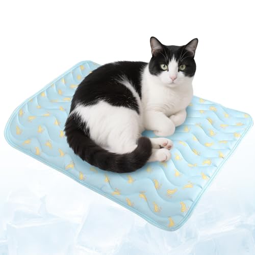 Pet Ice Mat Cooling Mat, KüHldecke Hund, rutschfeste Sommerauflage FüR Sofa, Auto & Hundebett, Leicht Reinigbar, KüHlkissen Mit Ungiftiges Gel FüR Klein MittelgroßE Haustiere (Blau, S) von Lbotr
