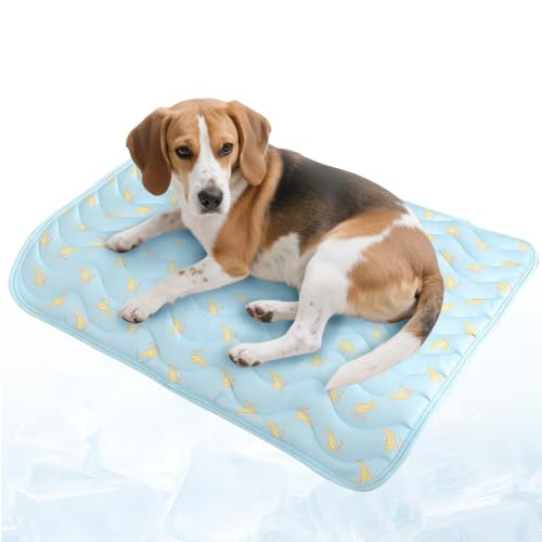 Pet Ice Mat Cooling Mat, KüHldecke Hund, rutschfeste Sommerauflage FüR Sofa, Auto & Hundebett, Leicht Reinigbar, KüHlkissen Mit Ungiftiges Gel FüR Klein MittelgroßE Haustiere (Blau, XS) von Lbotr