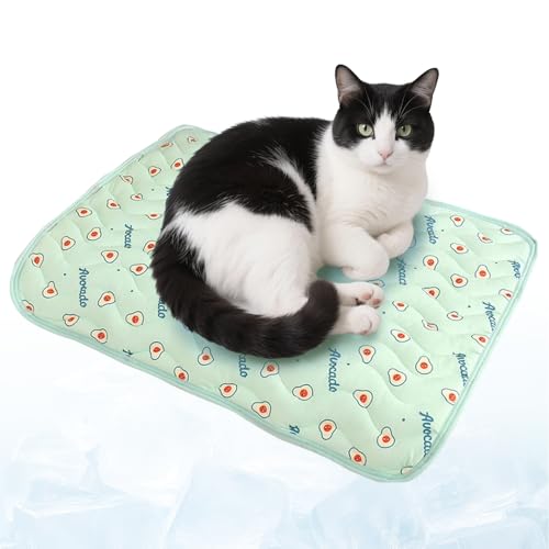 Pet Ice Mat Cooling Mat, KüHldecke Hund, rutschfeste Sommerauflage FüR Sofa, Auto & Hundebett, Leicht Reinigbar, KüHlkissen Mit Ungiftiges Gel FüR Klein MittelgroßE Haustiere (GrüN, M) von Lbotr