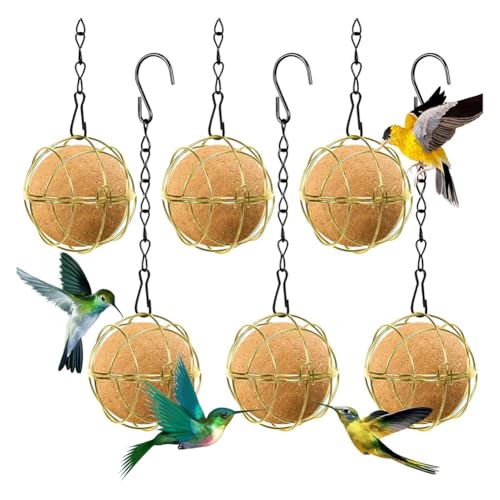 Lckiioy 6 Stück Futterbälle für Vögel, Futterspender für Meisenknödel, Vogelfutterspender zum Aufhängen Aus Metall mit Haken, Runder Futterspender für Meisenknödel, Gold Lckiioy 6 Stück Futterbälle für Vögel, Futterspender für Meisenknödel, Vogelfutterspender zum Aufhängen Aus Metall mit Haken, Runder Futterspender für Meisenknödel, Gold von Lckiioy